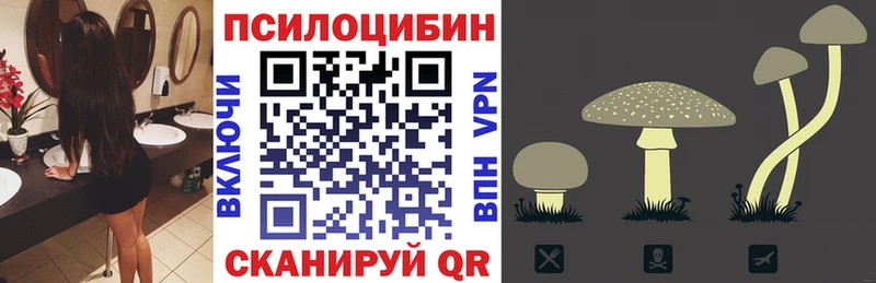 где продают наркотики  MEGA ССЫЛКА  Галлюциногенные грибы Cubensis  Велиж 
